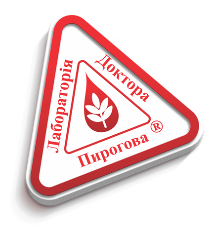 logobig2016
